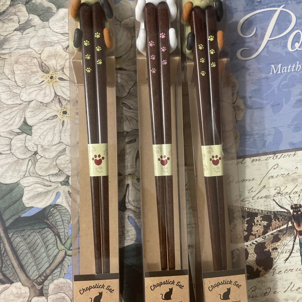 Chopstick Set with Animal Designs